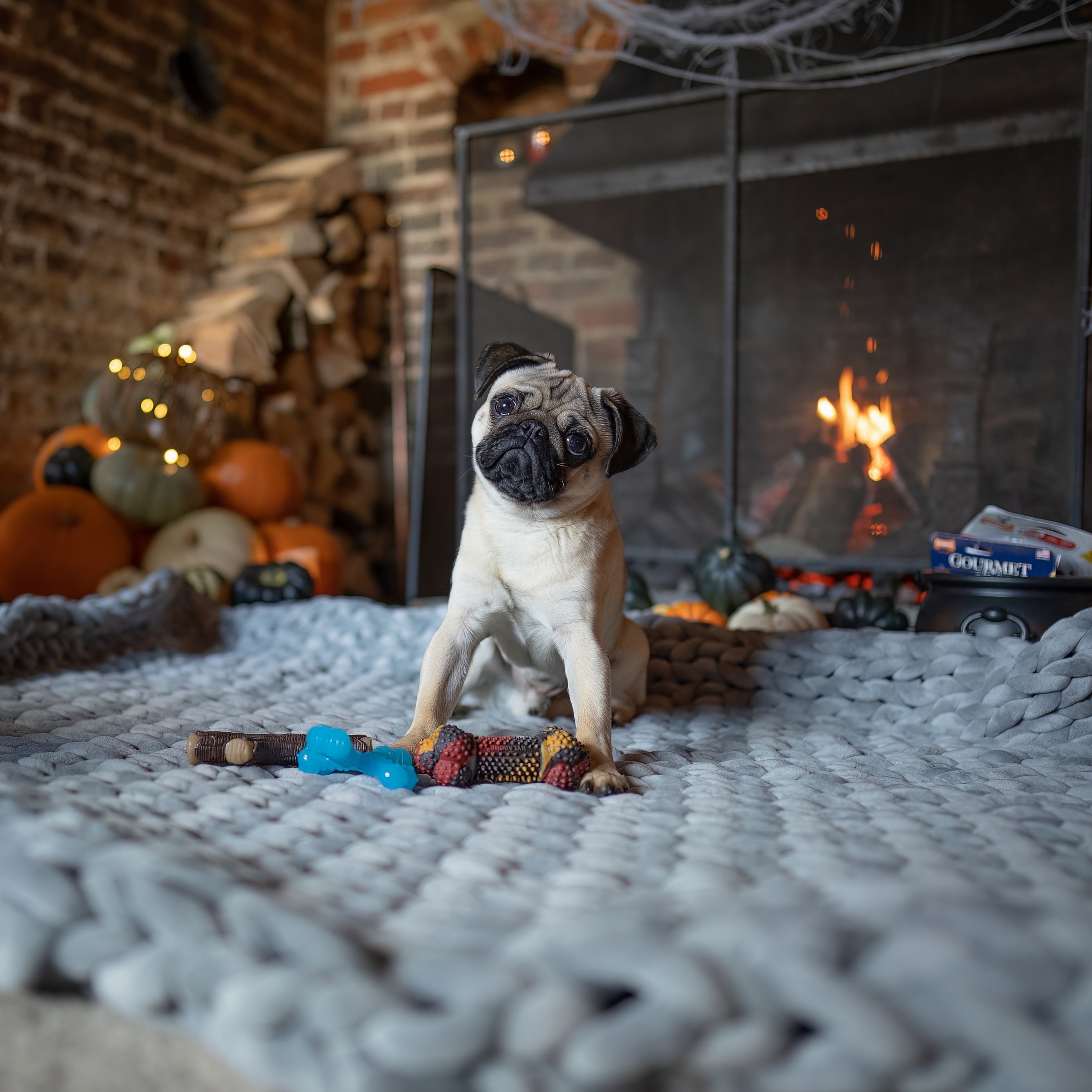 Nylabone Strong Chew Real Wood Dog Stick Toy 1ea/Medium/Wolf  Up To 35 Lbs. 1 ct