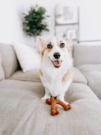 Nylabone Ergonomic Hold  Chew Wishbone Power Chew Durable Dog Toy Bison, 1ea/SMall/Regular  Up To 25 Ibs.