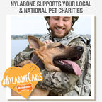 Nylabone Healthy Edibles Biscuits Grain Free Dog Treats Chicken & Veggie 1ea/12 oz