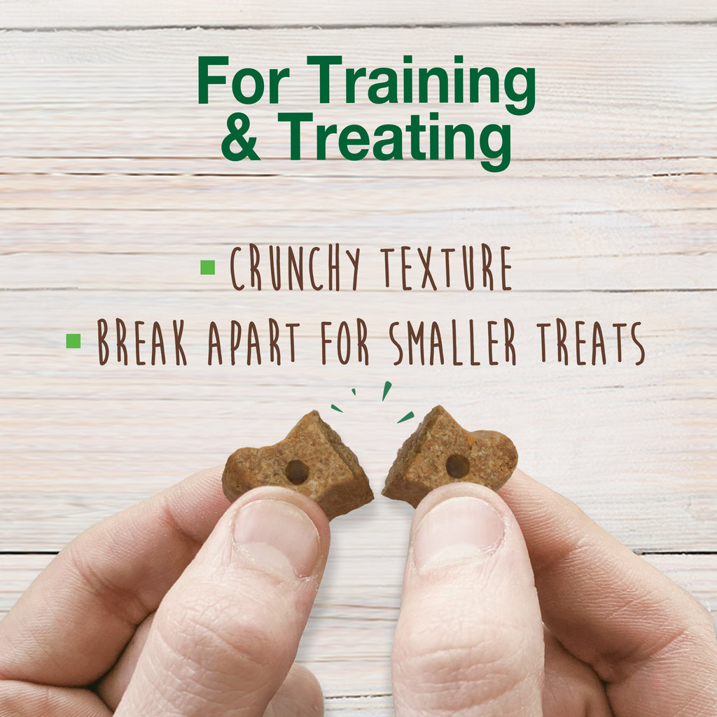 Nylabone Healthy Edibles Biscuits Grain Free Dog Treats Beef & Veggie 1ea/12 oz