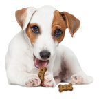 Nylabone Healthy Edibles Biscuits Grain Free Dog Treats Beef & Veggie 1ea/12 oz