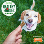 Nylabone Healthy Edibles Biscuits Grain Free Dog Treats Peanut Butter & Apple 1ea/12 oz