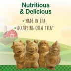 Nylabone Healthy Edibles AllNatural Long Lasting Puppy Chew Treats Lamb  Apple, 1ea/SMall/Regular  Up To 25 Ibs. 12 ct