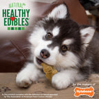 Nylabone Healthy Edibles AllNatural Long Lasting Puppy Chew Treats Lamb  Apple, 1ea/SMall/Regular  Up To 25 Ibs. 12 ct