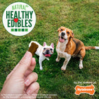 Nylabone Healthy Edibles Chewy Bites Soft Dog Treats Beef  Cheese, 6 oz 1 ct