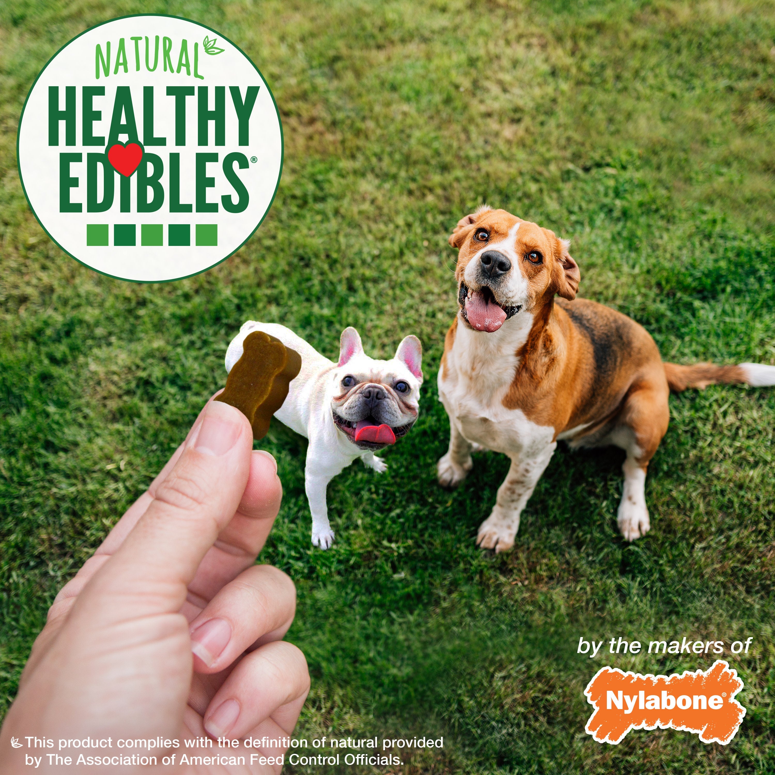 Nylabone Healthy Edibles Chewy Bites Soft Dog Treats Beef  Cheese, 6 oz 1 ct