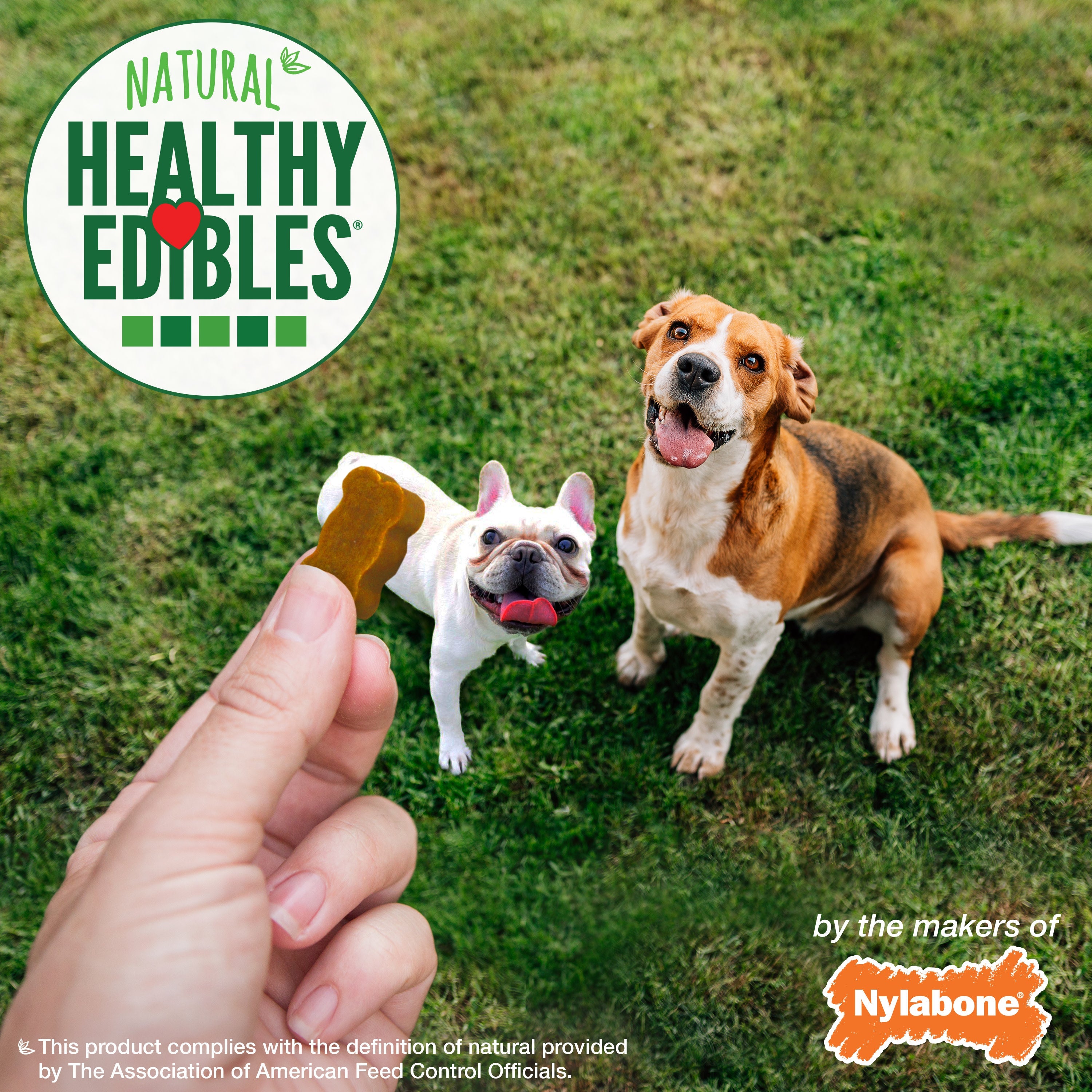 Nylabone Healthy Edibles Chewy Bites Soft Dog Treats Peanut Butter, 6 oz 1 ct