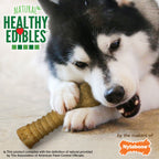 Nylabone Healthy Edibles AllNatural Long Lasting Peanut Butter Dog Chew Treats 1 Count, Peanut Butter, XL/Souper  50 Lbs. 1 ct