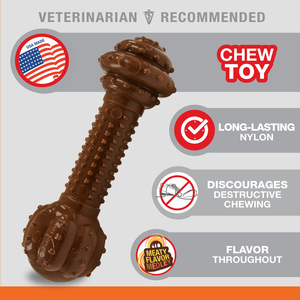 Nylabone Barbell Power Chew Durable Dog Toy Flavor Medley, 1ea/Large/Giant  Up To 50 Lbs. 1 ct