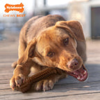 Nylabone Barbell Power Chew Durable Dog Toy Flavor Medley, 1ea/Large/Giant  Up To 50 Lbs. 1 ct