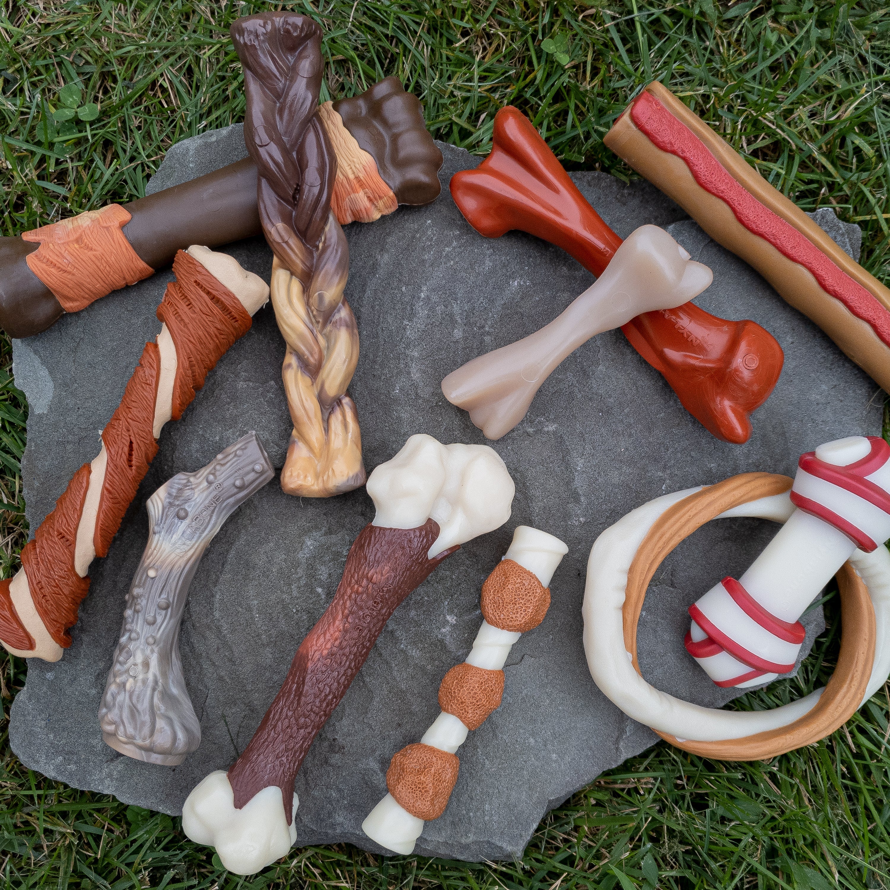 Nylabone Power Chew Bison Bone Alternative Nylon Chew Toy Bison, 1ea/Large/Giant  Up To 50 Lbs. 1 ct