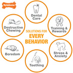 Nylabone Power Chew Bison Bone Alternative Nylon Chew Toy Bison, 1ea/Large/Giant  Up To 50 Lbs. 1 ct