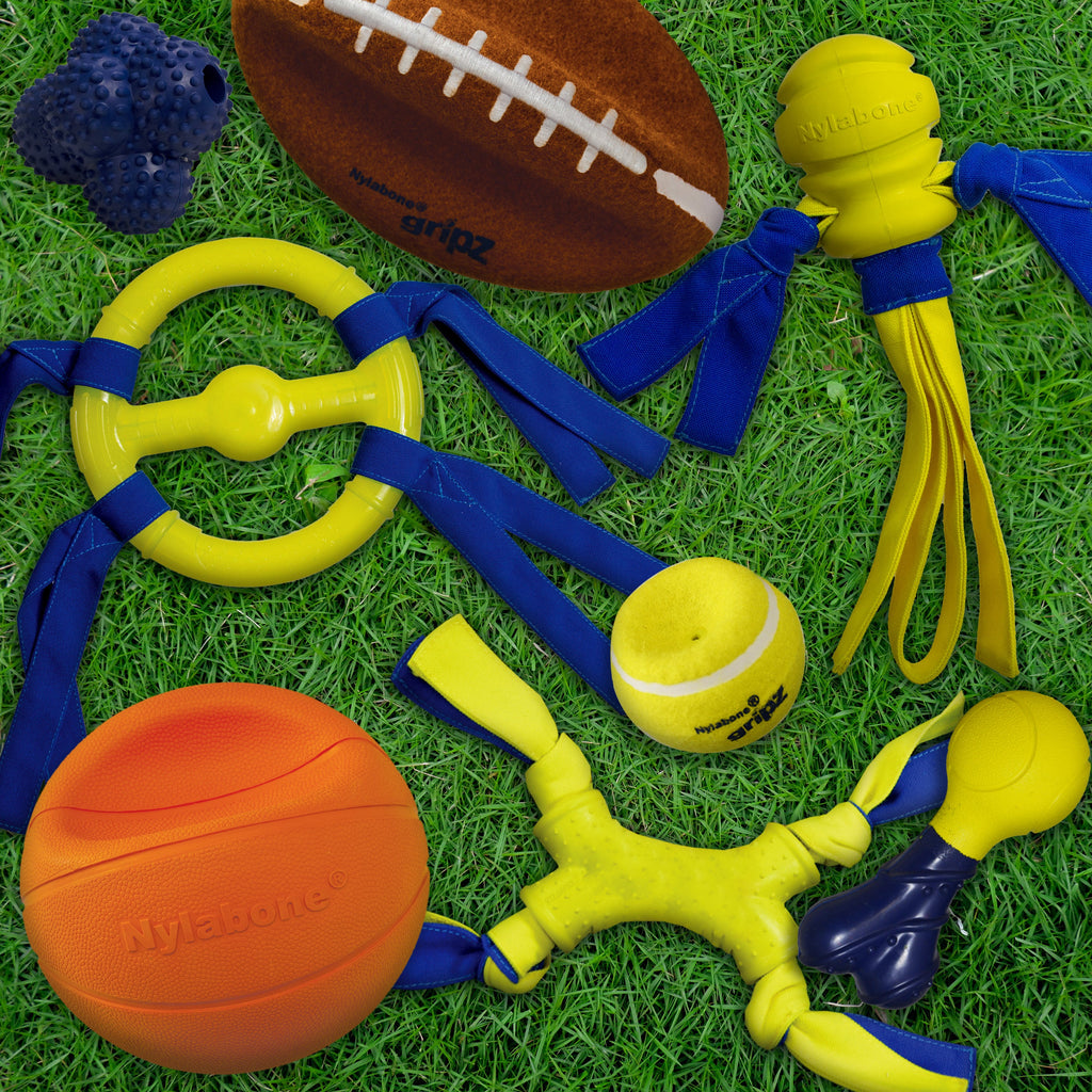 Nylabone Power Play Tennis Gripz  Tennis Balls for Dogs 1ea/SMall/Regular  Up To 25 Ibs. 1 ct