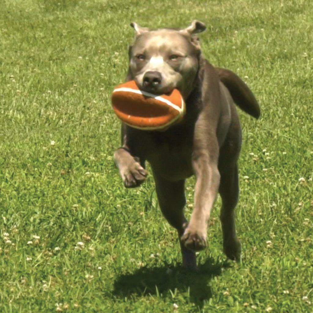 Nylabone Power Play Dog Football Gripz 1ea/Medium/Wolf  Up To 35 Lbs. 5.5 in 1 ct