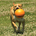Nylabone Power Play Dog Basketball BBall Gripz 1ea/Large/Giant  Up To 50 Lbs. 6.5 in 1 ct