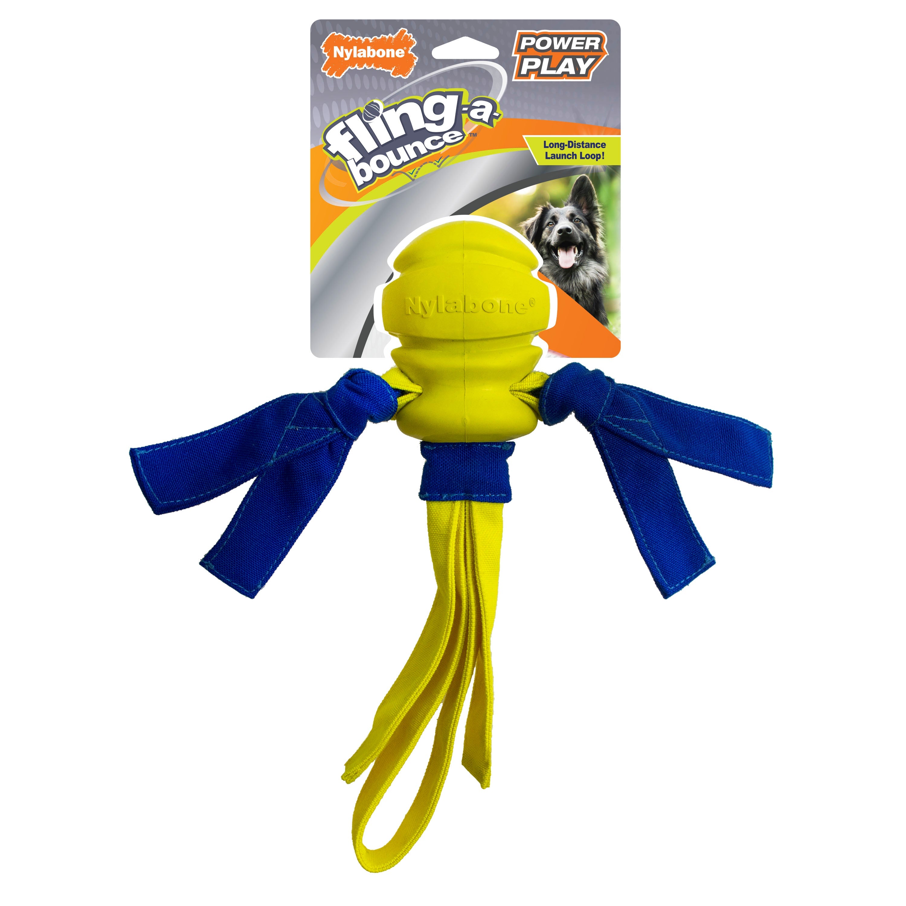 Nylabone Power Play FlingaBounce Interactive Dog Toy 1ea/Large/Giant  Up To 50 Lbs. 1 ct