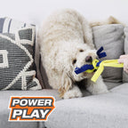 Nylabone Power Play FlingaBounce Interactive Dog Toy 1ea/Large/Giant  Up To 50 Lbs. 1 ct
