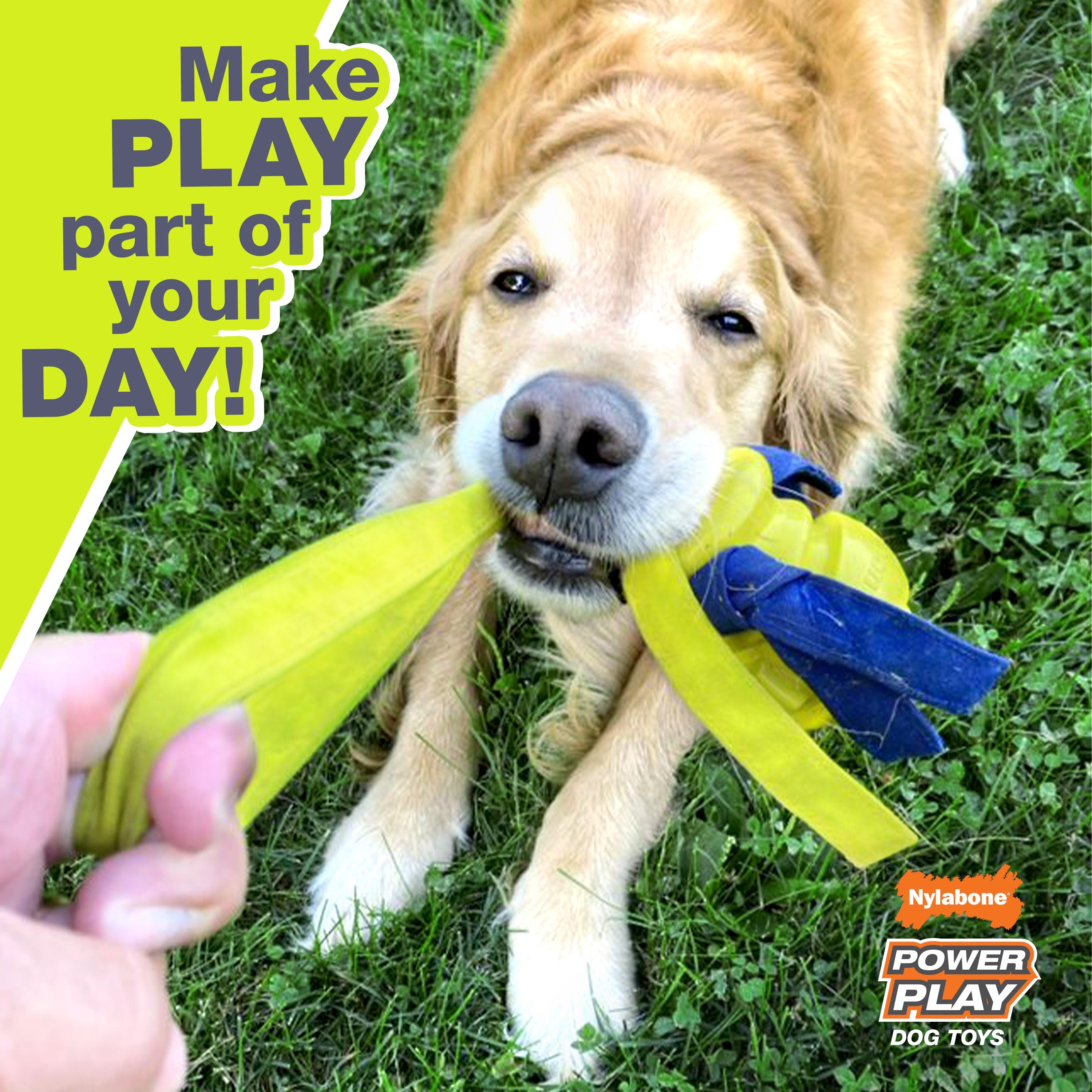 Nylabone Power Play Ring Thing Floatable Dog Toy 1ea/Medium/Wolf  Up To 35 Lbs. 1 ct