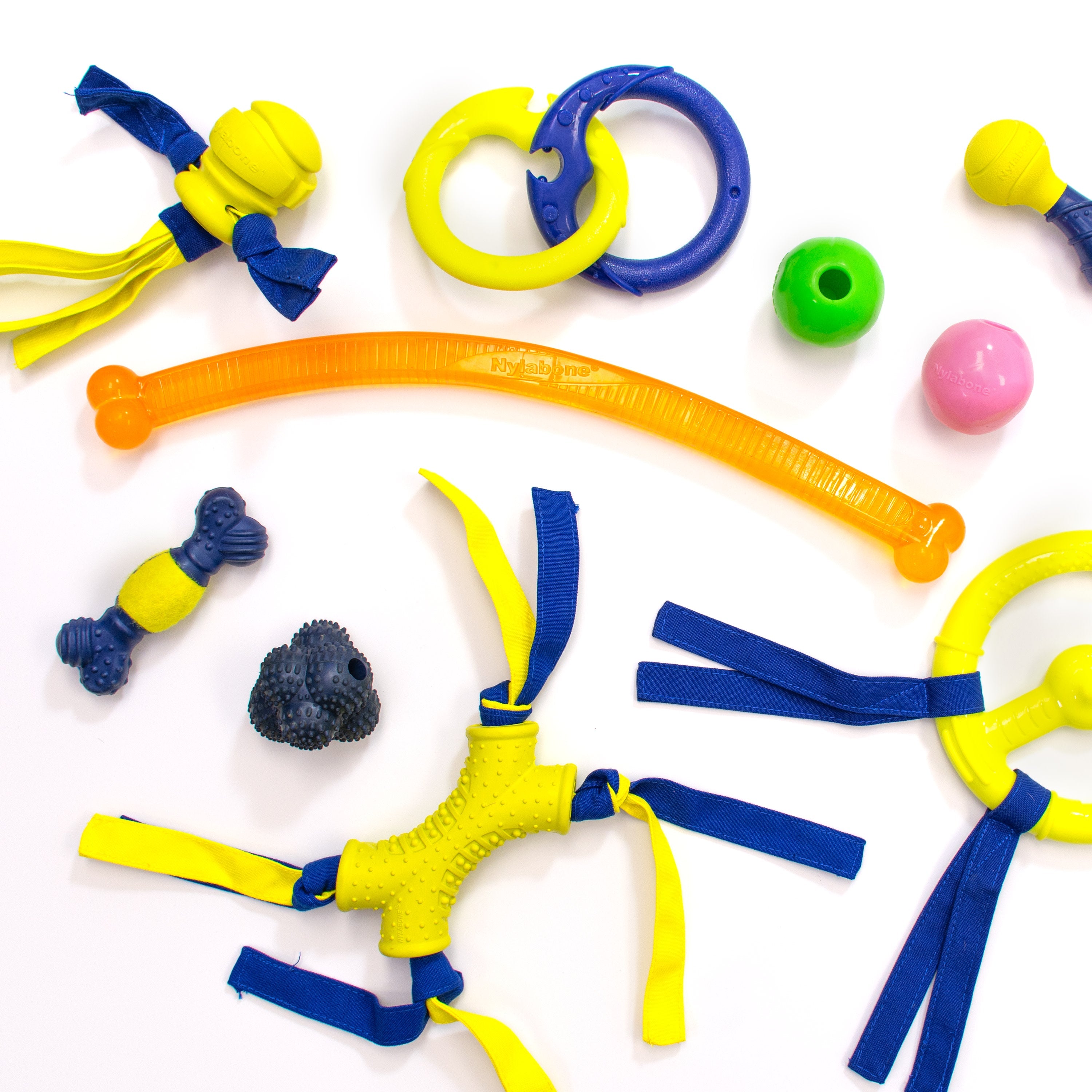 Nylabone Power Play Ring Thing Floatable Dog Toy 1ea/Medium/Wolf  Up To 35 Lbs. 1 ct