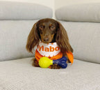 Nylabone Power Play Rubber Dog Toy FetchaBounce 1ea/SMall/Regular  Up To 25 Ibs. 1 ct