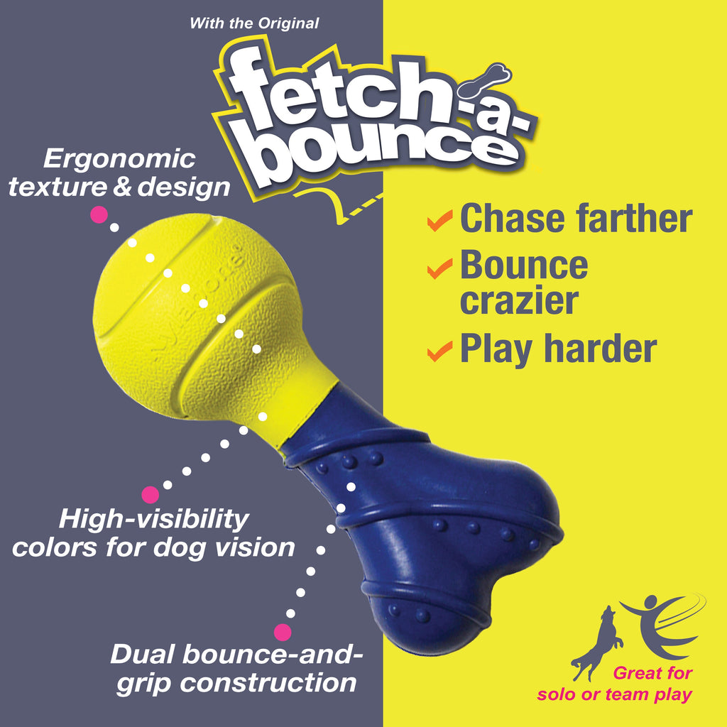 Nylabone Power Play Rubber Dog Toy FetchaBounce 1ea/SMall/Regular  Up To 25 Ibs. 1 ct