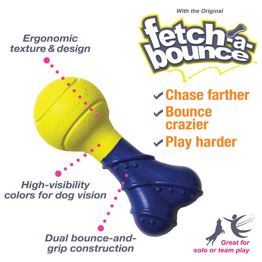 Nylabone Power Play Rubber Dog Toy FetchaBounce 1ea/SMall/Regular  Up To 25 Ibs. 1 ct