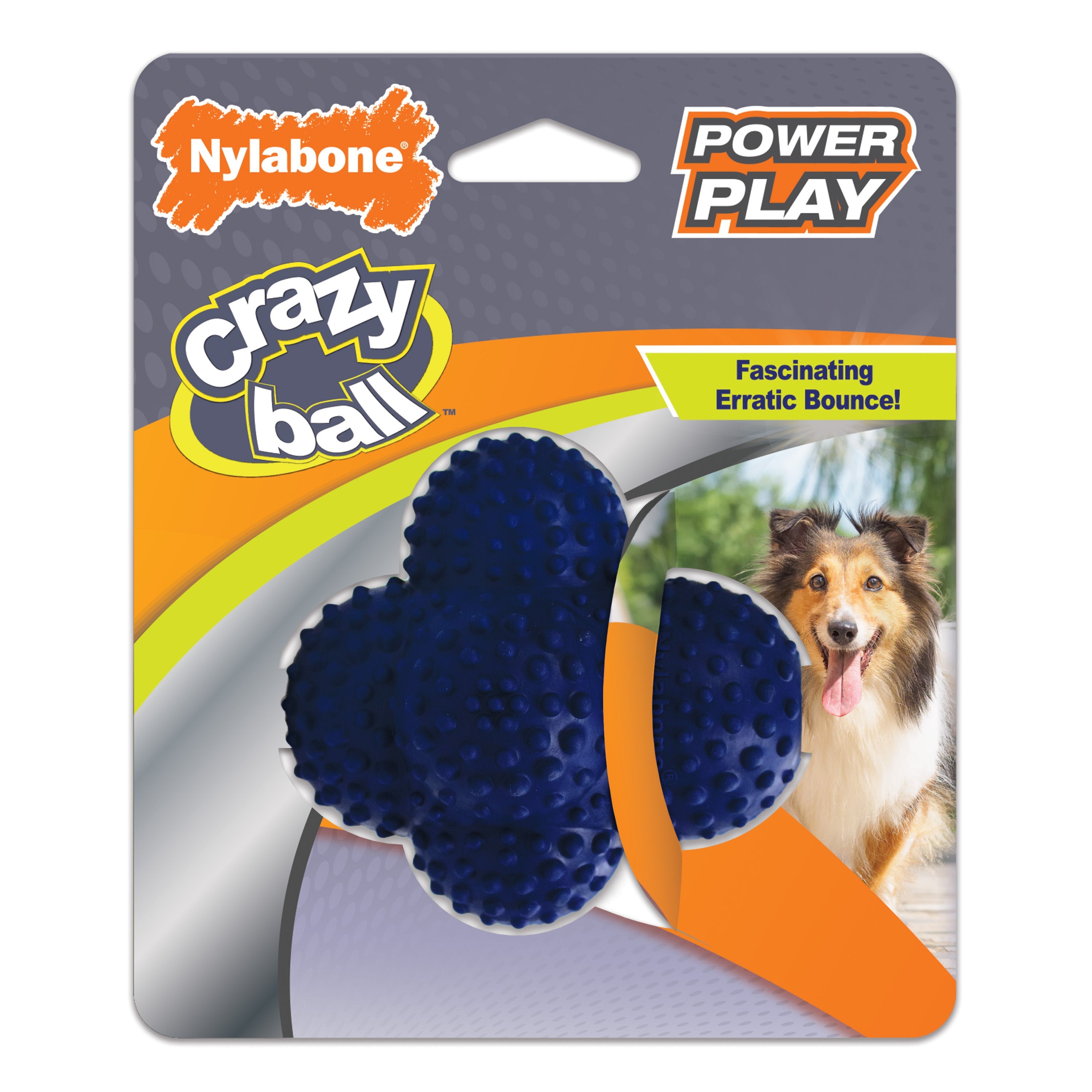 Nylabone Power Play Ball for Dogs Crazy Ball 1ea/Large/Giant  Up To 50 Lbs. 1 ct