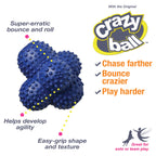 Nylabone Power Play Ball for Dogs Crazy Ball 1ea/Large/Giant  Up To 50 Lbs. 1 ct