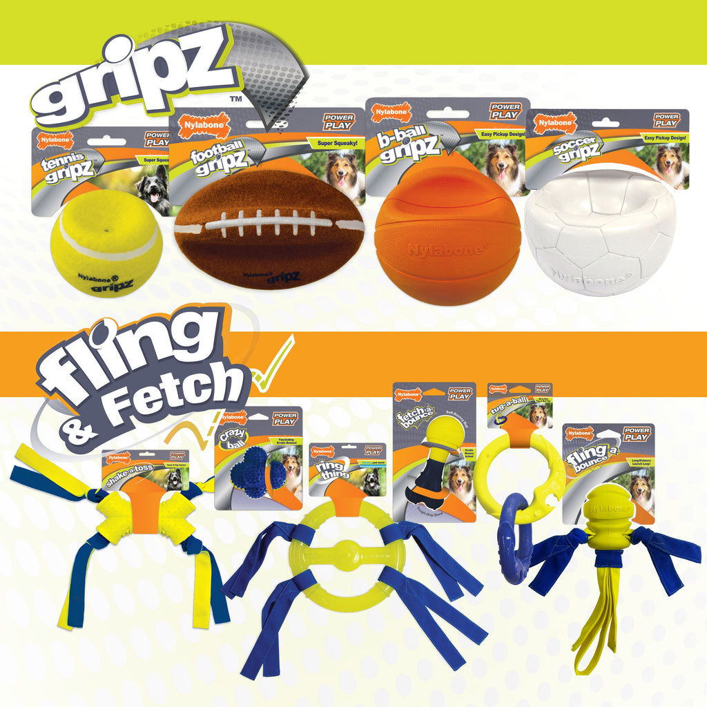 Nylabone Power Play Ball for Dogs Crazy Ball 1ea/Large/Giant  Up To 50 Lbs. 1 ct