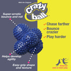 Nylabone Power Play Ball for Dogs Crazy Ball 1ea/Large/Giant  Up To 50 Lbs. 1 ct