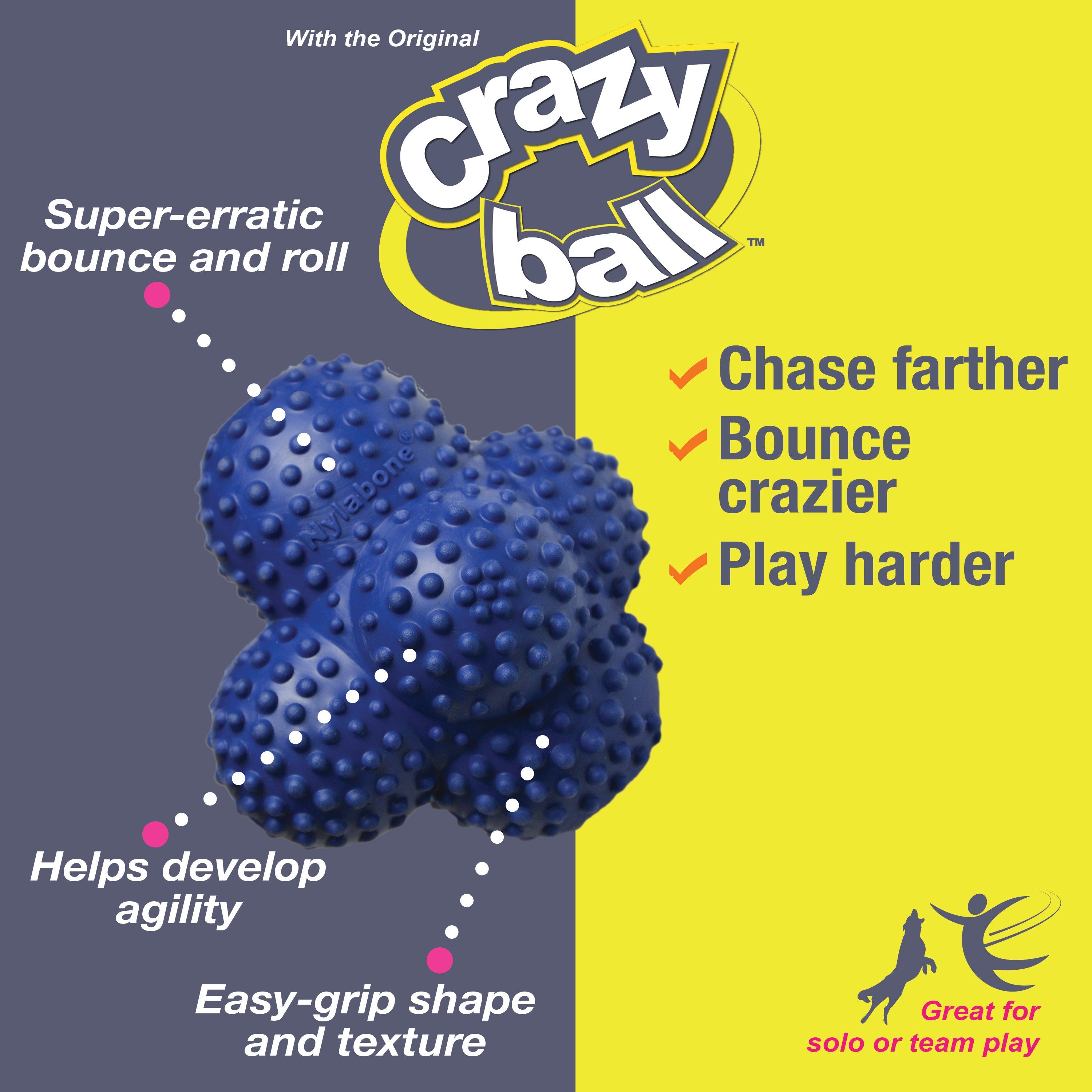 Nylabone Power Play Ball for Dogs Crazy Ball 1ea/Large/Giant  Up To 50 Lbs. 1 ct