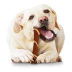 Nylabone Power Chew Pork Hide Alternative Dog Chew Toy Bacon & Peanut Butter 1ea/Large/Giant - Up To 50 lb