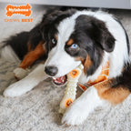 Nylabone Power Chew Souper Bone  PopIn Treat Toy Combo Chicken, 1ea/Large/Giant  Up To 50 Lbs. 1 ct