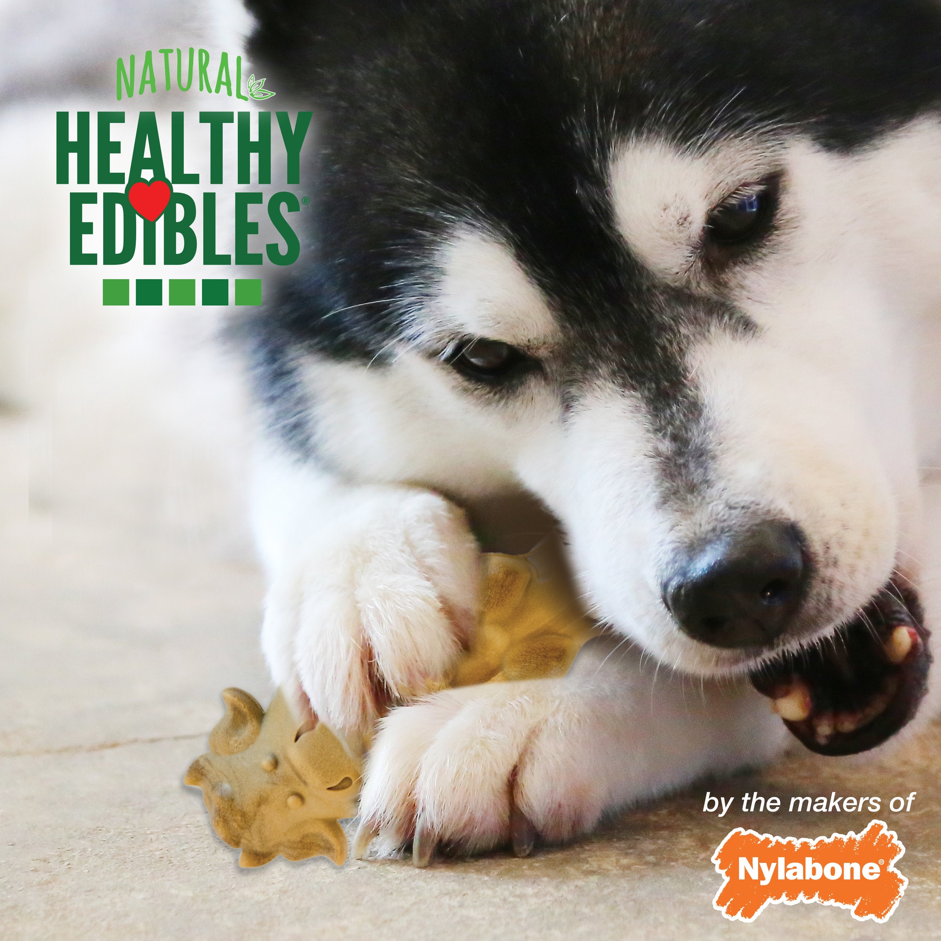 Nylabone Healthy Edibles Farm Friends Grain Free Dog Treats Beef, Chicken, Bacon, & Lamb 1ea/Large - Up To 50 lb