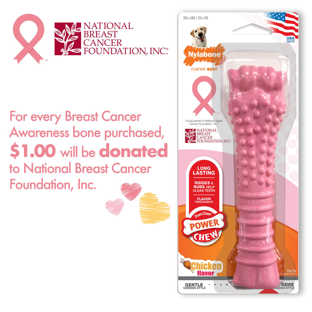 Nylabone Power Chew Breast Cancer Awareness Pink Souper Bone Dog Chew Toy Chicken, 1ea/XL/Souper  50 Lbs. 1 ct