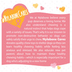 Nylabone Power Chew Breast Cancer Awareness Pink Souper Bone Dog Chew Toy Chicken, 1ea/XL/Souper  50 Lbs. 1 ct