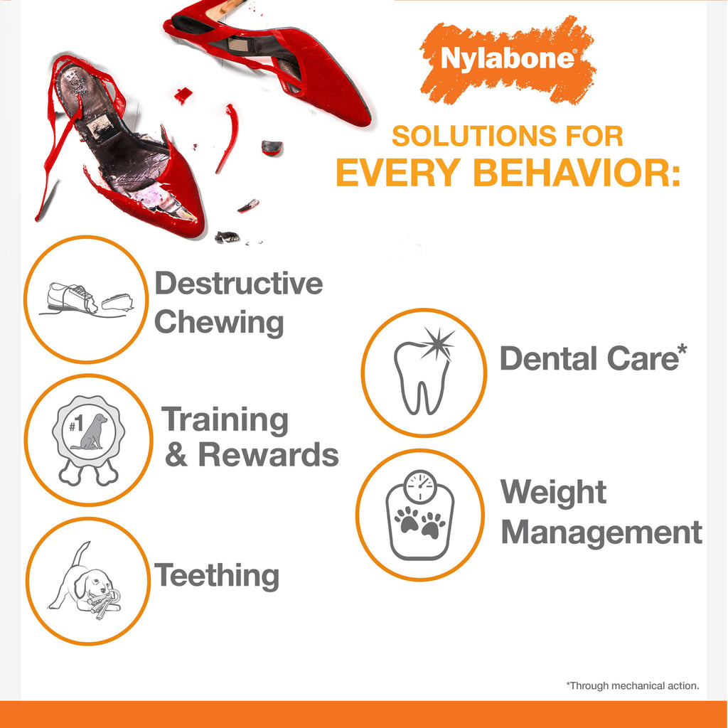 Nylabone Power Chew Flavor Frenzy Ring Dog Chew Toy Bacon Cheeseburger, 1ea/Large/Giant  Up To 50 Lbs. 1 ct