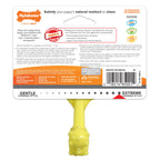 Nylabone Axis Bone Nylon Puppy Chew Toy 1ea/SMall/Regular - Up To 25 Ibs.