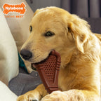 Nylabone Power Chew Arch Bone Dog Dental Chew Toy 1ea/Large/Giant  Up To 50 Lbs. 1 ct