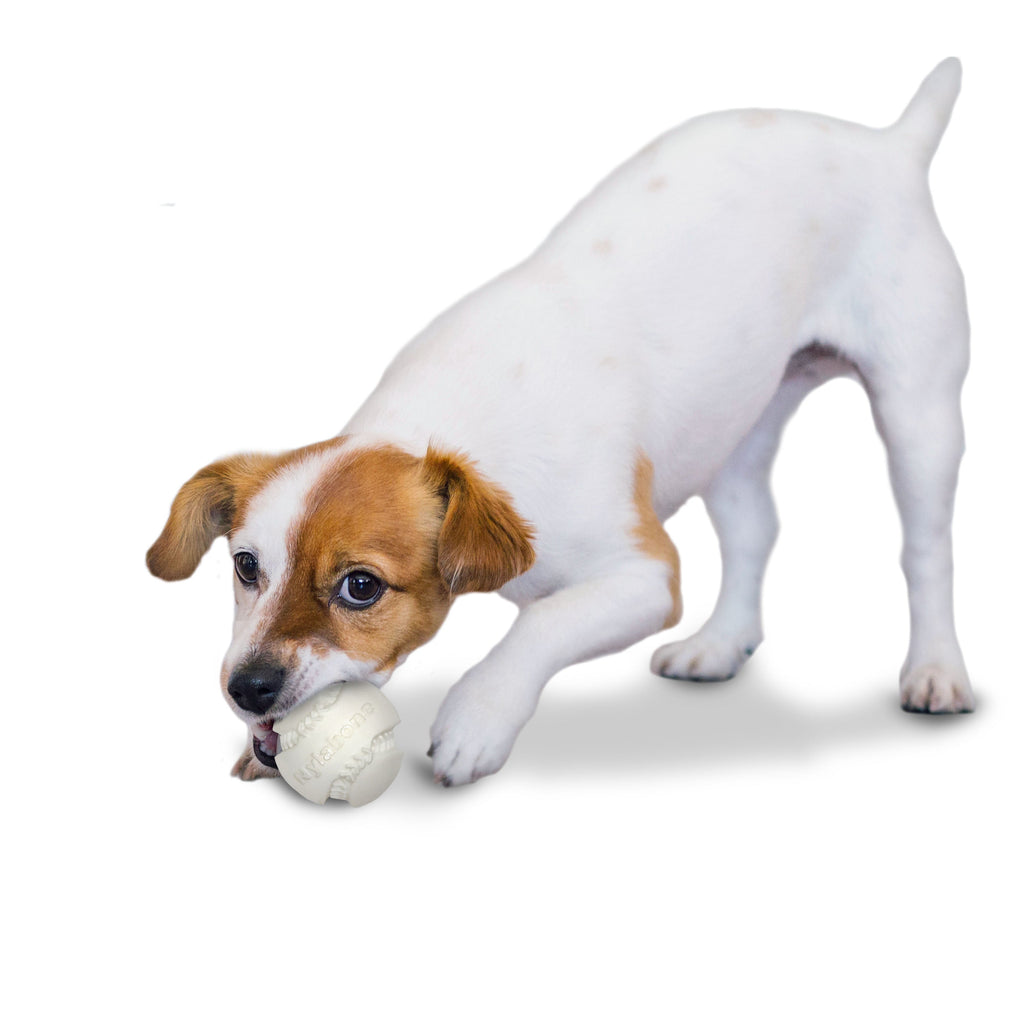 Nylabone Power Play Dog Baseball Gripz 1ea/Medium/Wolf  Up To 35 Lbs. 1 ct