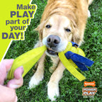 Nylabone Power Play Tennis Teddy Gripz Bear Dog Toy 1ea/Medium/Wolf  Up To 35 Lbs. 1 ct
