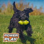 Nylabone Power Play Tennis Teddy Gripz Bear Dog Toy 1ea/Medium/Wolf  Up To 35 Lbs. 1 ct