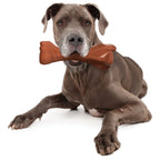 Nylabone Power Chew Knuckle Bone BIG Dog Chew Toy Bacon 1ea/XXL/Monster - 50++ lb