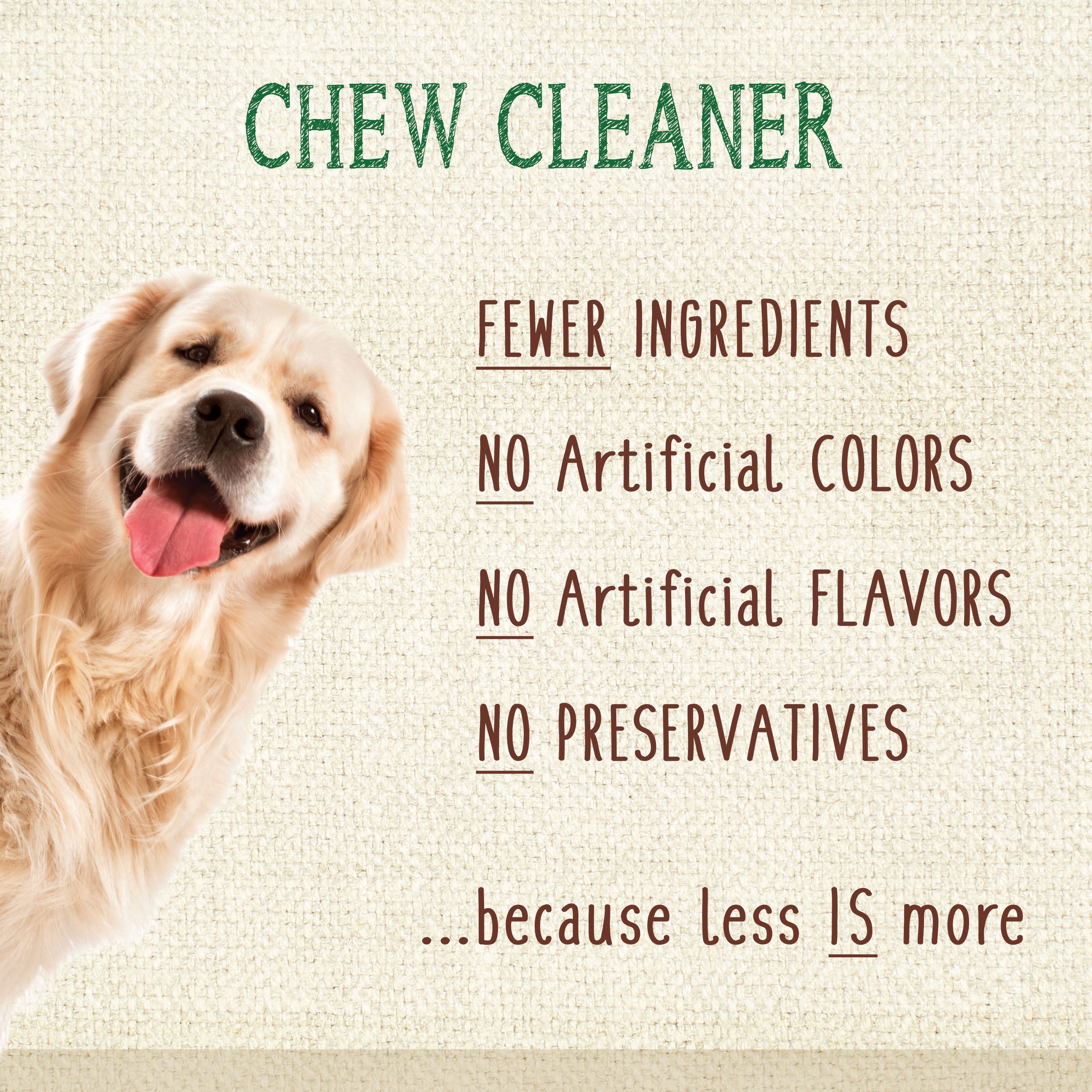 Nylabone Nutri Dent Filet Mignon Dog Dental Chews Filet Mignon, 1ea/XL/Souper  50 Lbs. 1 ct