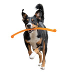 Nylabone Power Play Crazy Stick Dog Toy 1ea/1 ct