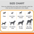 Nylabone Silver Collection Power Chew Wishbone Chew Toy for Senior Dogs Bison Flavor 1ea/Large/Giant - Up To 50 lb