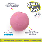 Nylabone Power Play Gum-a-Ball Toy for Dogs 1ea