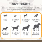 Nylabone Power Chew Camo Dog Toy Display 4ea