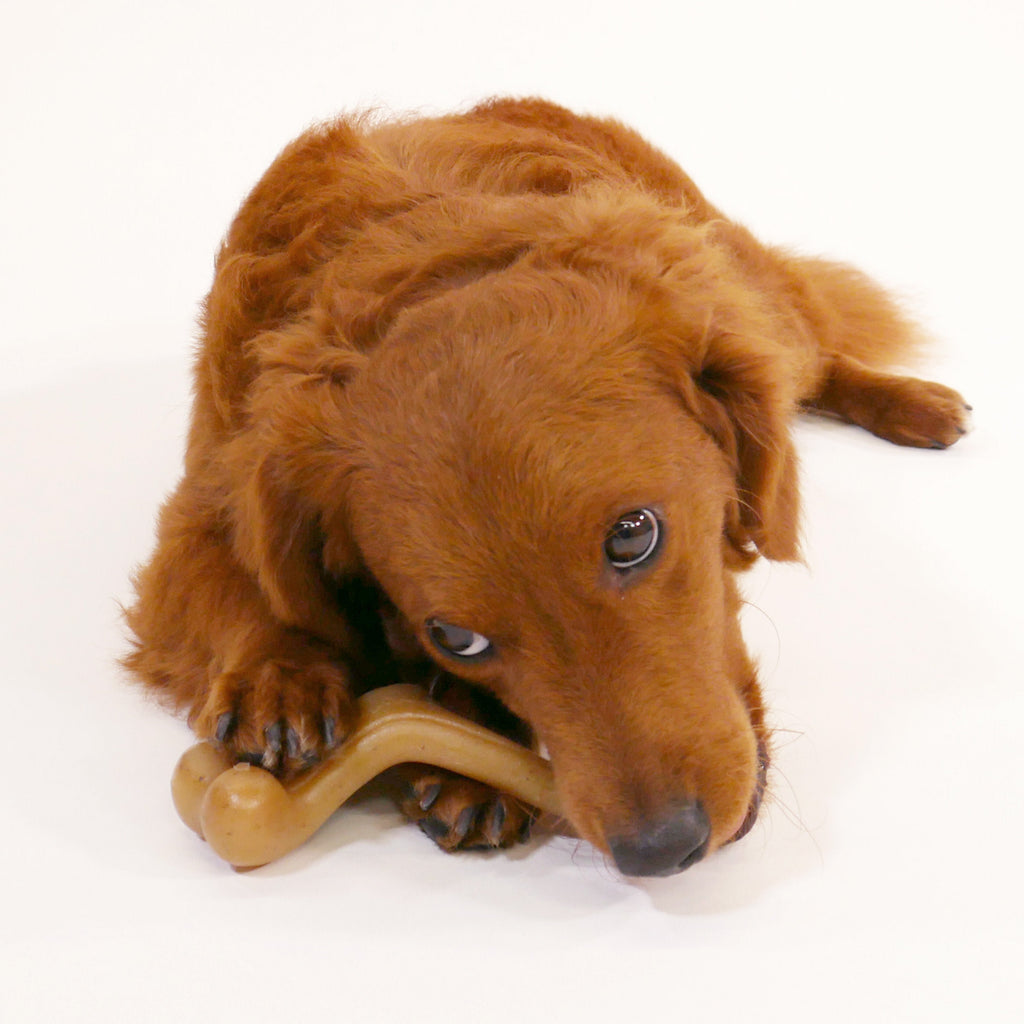 Nylabone Gourmet Style Strong Chew Wishbone Dog Chew Toy Chicken, 1ea/SMall/Regular  Up To 25 Ibs. 1 ct