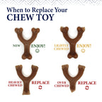 Nylabone Gourmet Style Strong Chew Wishbone Dog Chew Toy Chicken, 1ea/SMall/Regular  Up To 25 Ibs. 1 ct